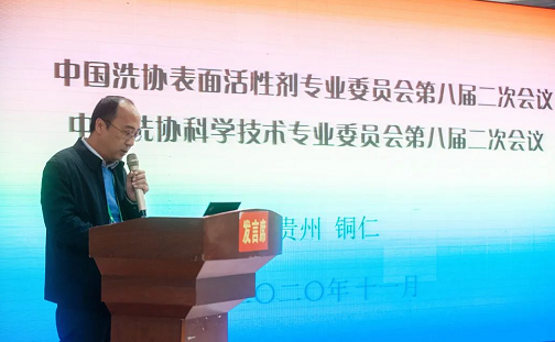 2020中国洗协表委会科技委第八届二次会议